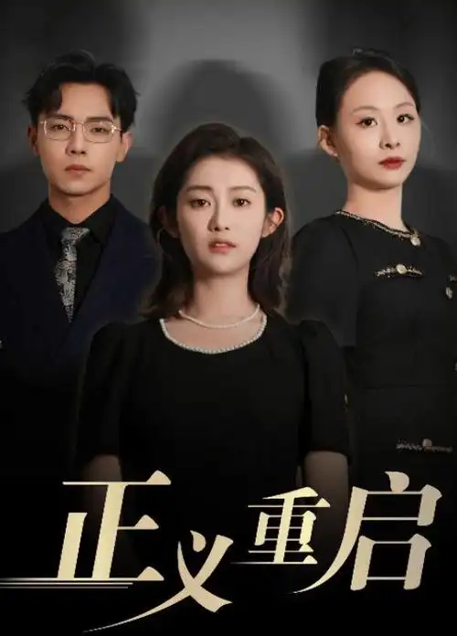 沉默证词律政剧在线观看